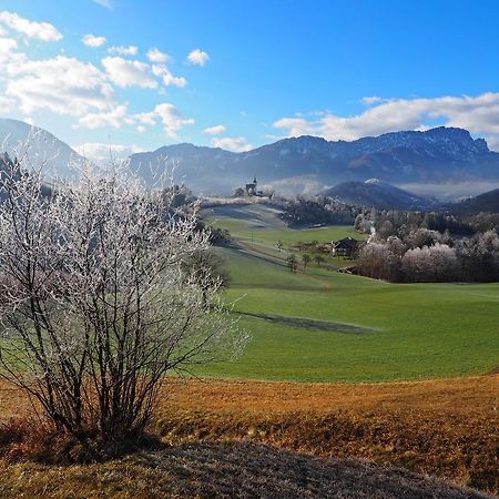 Ferienhof Unterfuehrholzergut Klaus an der Pyhrnbahn Dış mekan fotoğraf