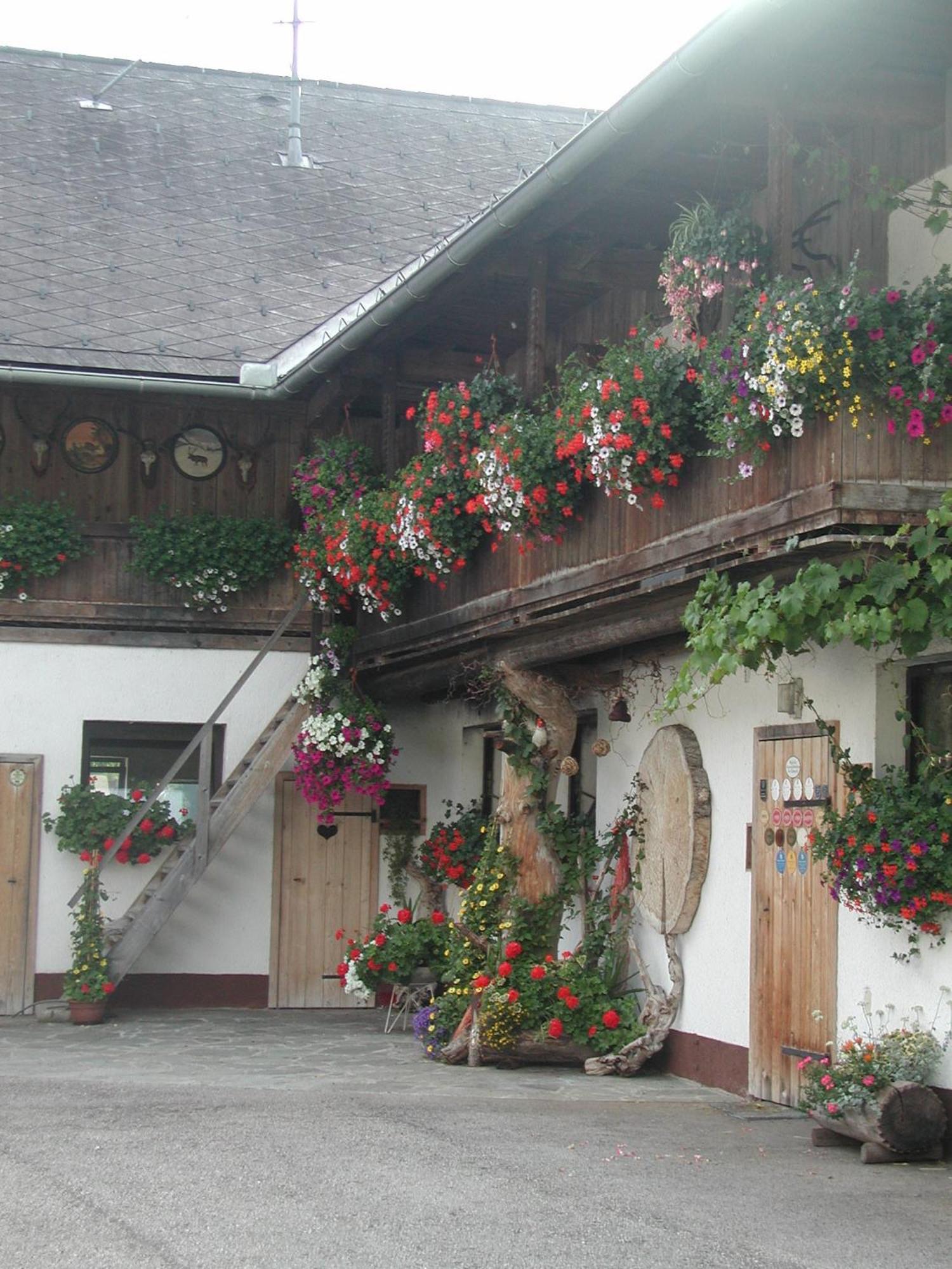 Ferienhof Unterfuehrholzergut Klaus an der Pyhrnbahn Dış mekan fotoğraf