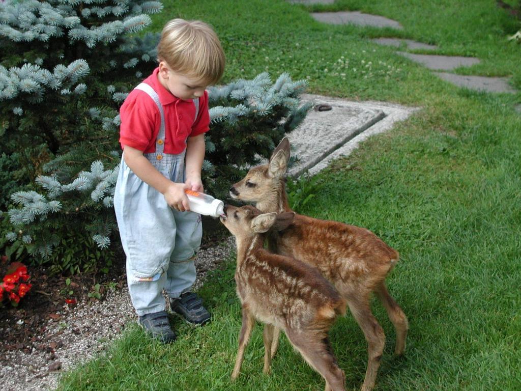 Ferienhof Unterfuehrholzergut Klaus an der Pyhrnbahn Dış mekan fotoğraf