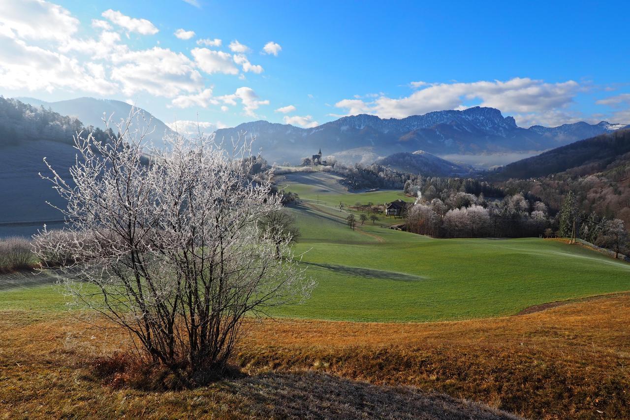 Ferienhof Unterfuehrholzergut Klaus an der Pyhrnbahn Dış mekan fotoğraf